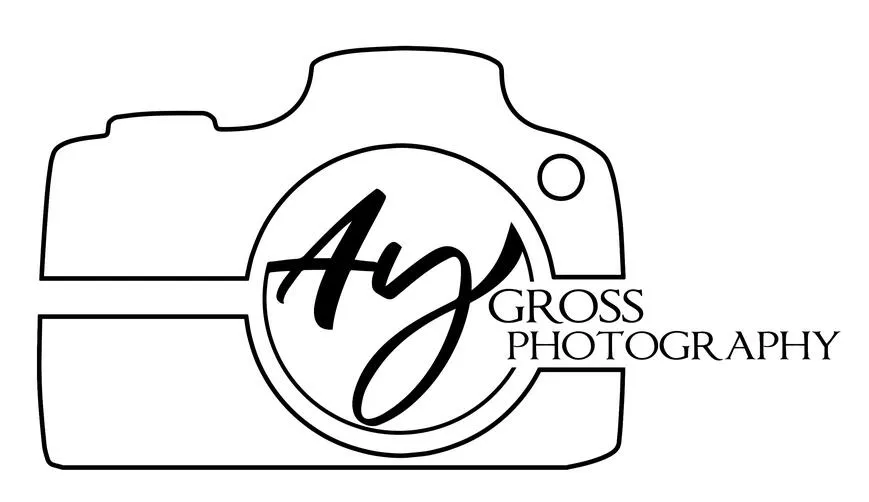 AY Gross Photography website preview
